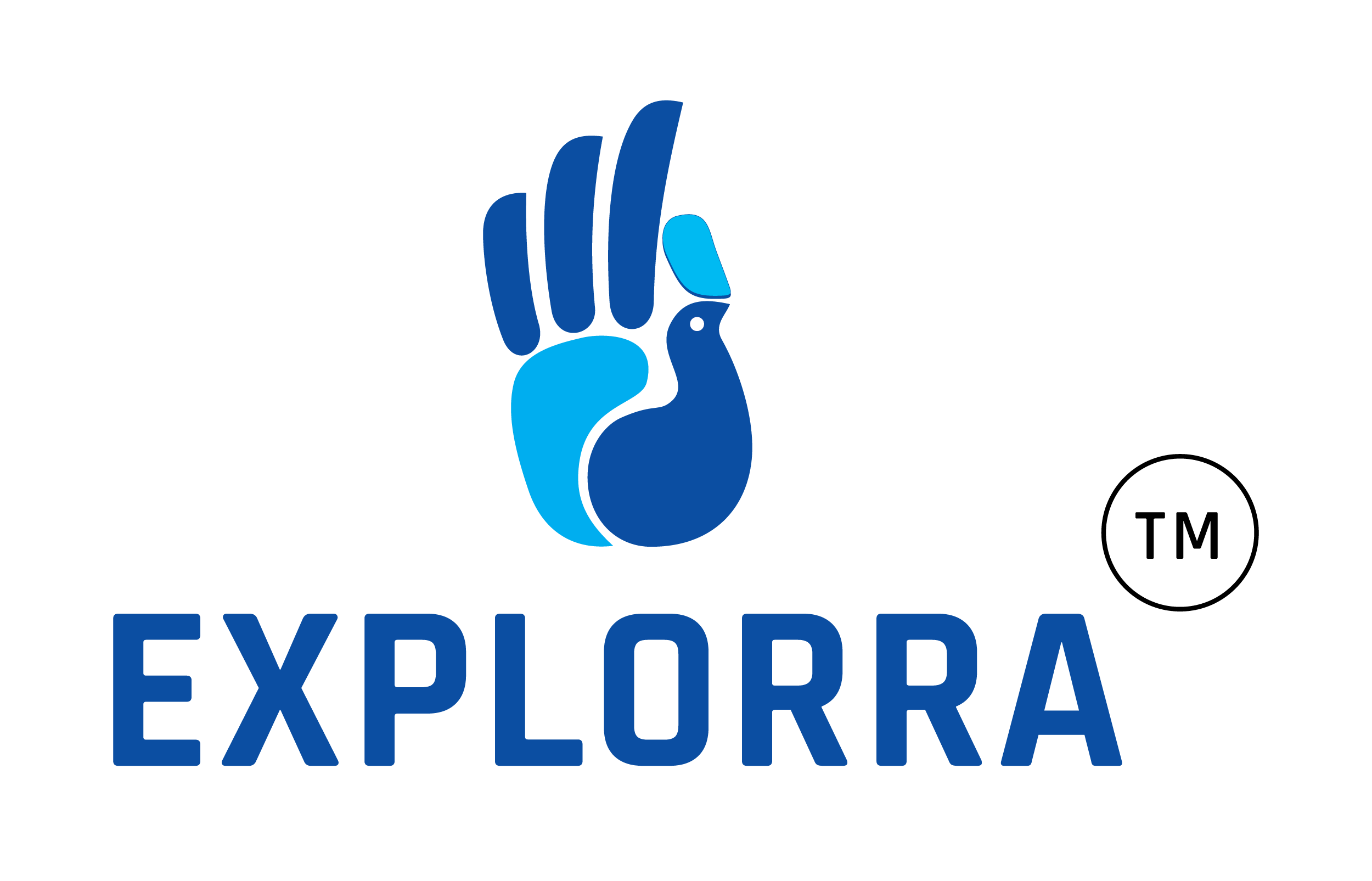 EXPLORRA ( School Of Design & Technology )